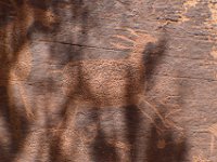 moab-2015- 392