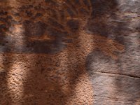 moab-2015- 393