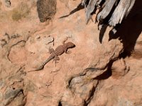 moab-2015- 406