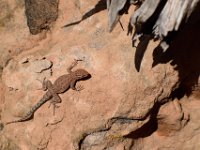 moab-2015- 407