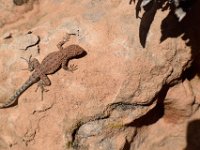 moab-2015- 408