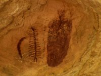 moab-2015- 438