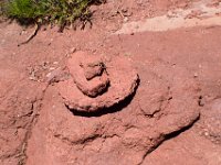 moab-2015- 456