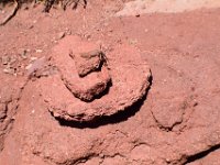 moab-2015- 457