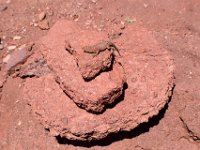moab-2015- 458