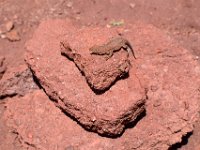 moab-2015- 459