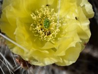 moab-2015- 465