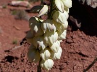 moab-2015- 471