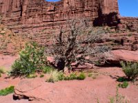 moab-2015- 476