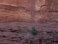moab-2015- 486