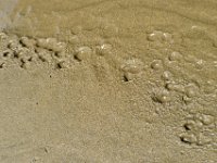 DSC 0601