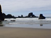 DSC 0608