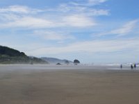 DSC 0619