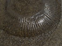 DSC 0624