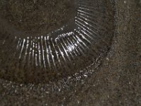 DSC 0625