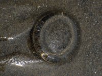 DSC 0640