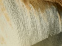 DSC 0645