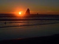 DSC 0655