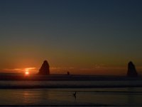 DSC 0661