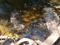 20170313 105429
