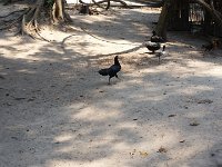 20170313 111242