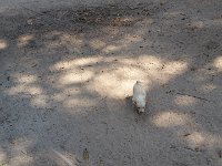 20170313 111259