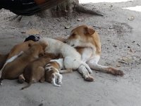 20170313 111739