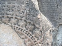 DSC 0143