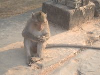 DSC 0164
