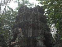 DSC 0239