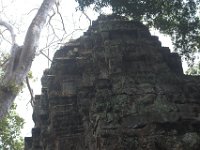 DSC 0266