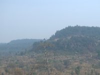 DSC 0323