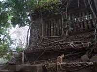 DSC 0332
