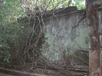 DSC 0336