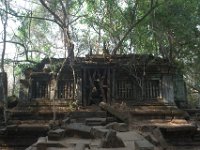DSC 0339