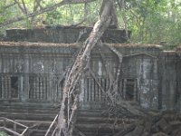 DSC 0340