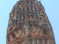 DSC 0043