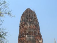 DSC 0044