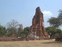 DSC 0049