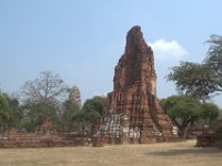 DSC 0050