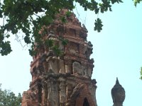 DSC 0059