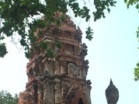 DSC 0060