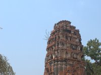 DSC 0061