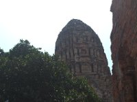 DSC 0067
