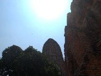 DSC 0068