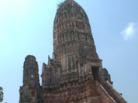DSC 0081