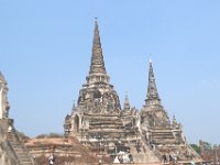 DSC 0101