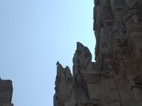DSC 0118