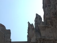 DSC 0119