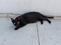 20170305 084655